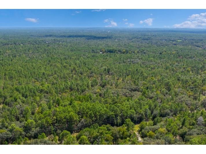6272 W Hagan Court Dunnellon FL 34433 W7883519 image1