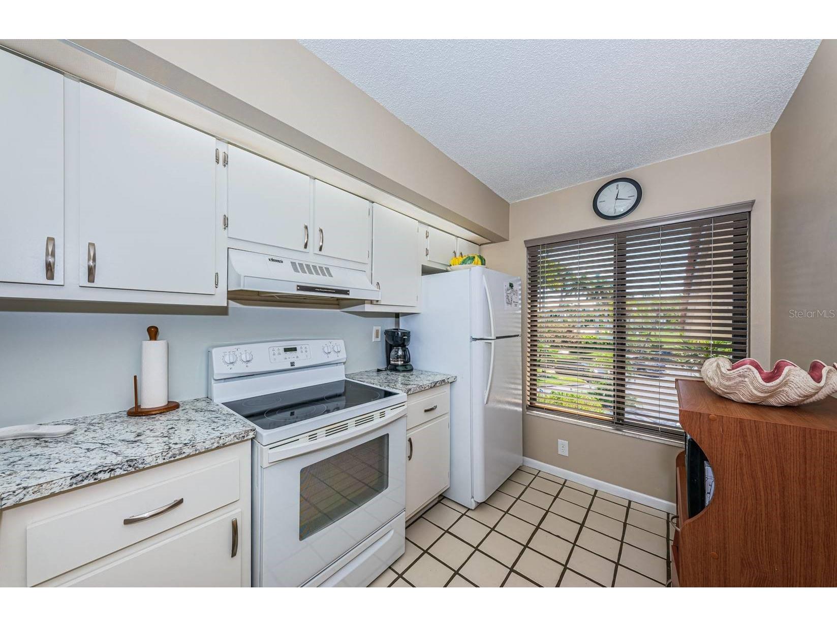 6273 Bahia Del Mar Boulevard #216 Saint Petersburg FL 33715 TB8474060 image9
