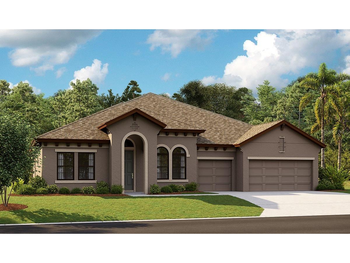 6273 Hidden Branch Drive Apollo Beach FL 33572 T3429026 image1