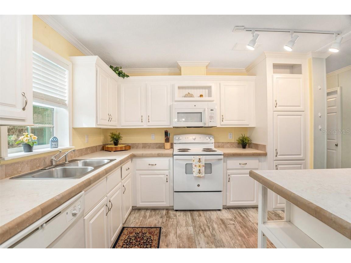 6274 Fine Street Weeki Wachee FL 34607 TB8434956 image12