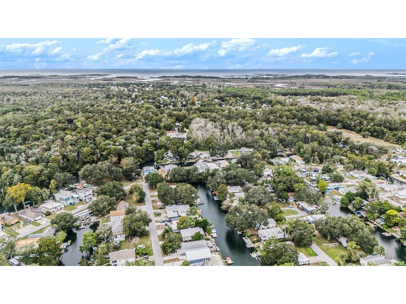 6274 Fine Street Weeki Wachee FL 34607 TB8434956 image30