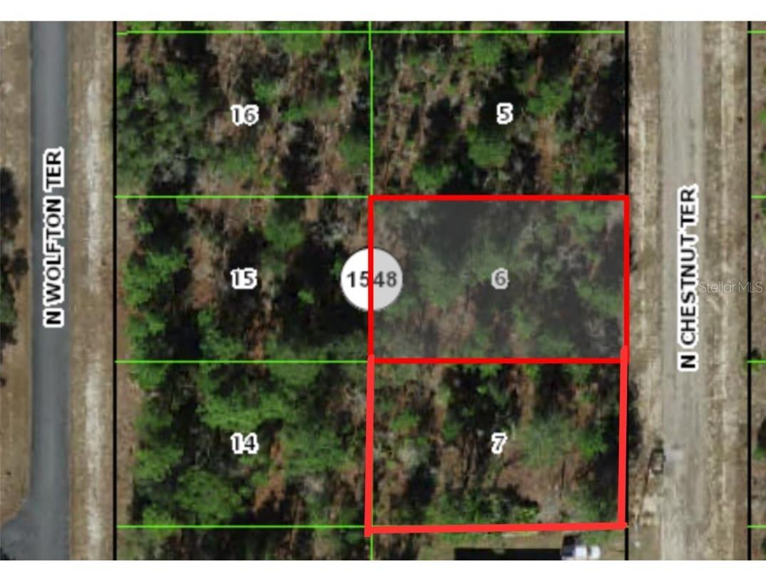 6274 N Chestnut Terrace Citrus Springs FL 34433 OM667161 image1