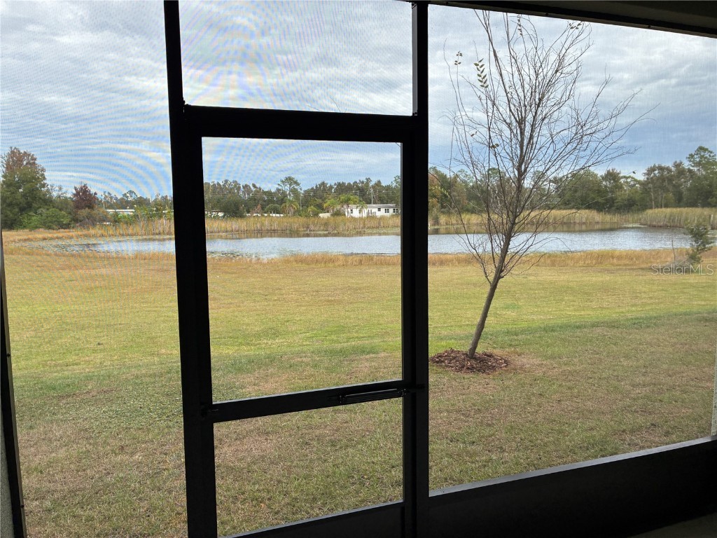 6274 Shiner St Land O Lakes FL 34638 TB8452709 image41