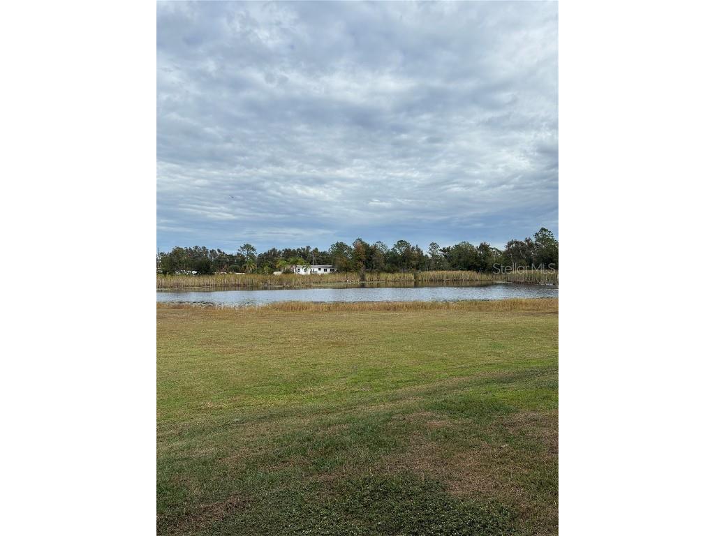 6274 Shiner St Land O Lakes FL 34638 TB8452709 image44