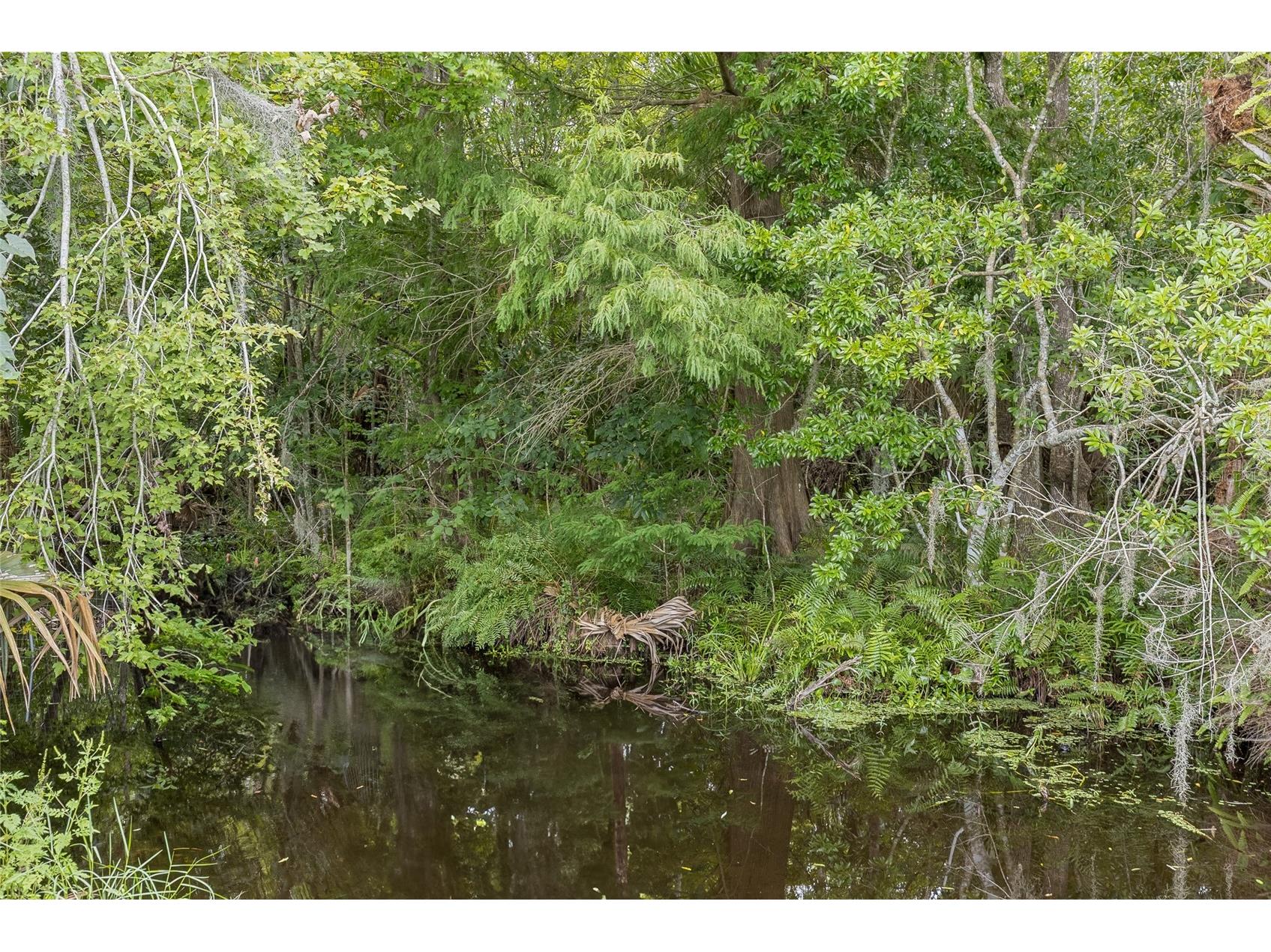 6275 Halabrin Road Haines City FL 33844 - LAKE MARION O6373513 image79