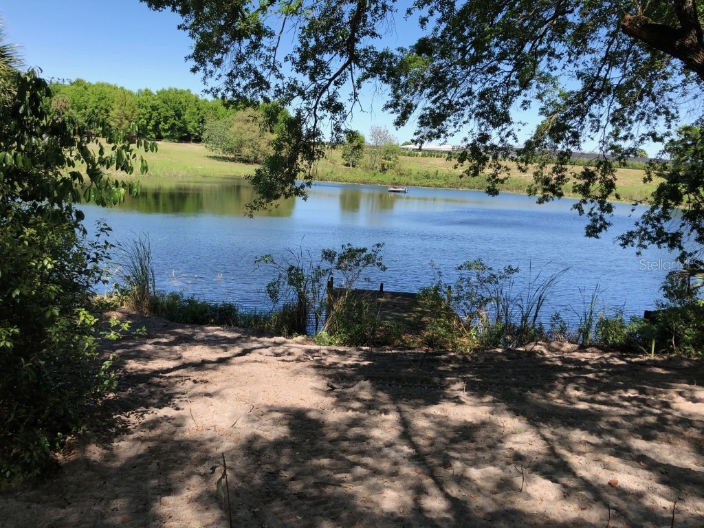 6275 Sadler Road Mount Dora FL 32757 - LAKE POE A.K.A. LAKE SAWDUST O6072426 image1