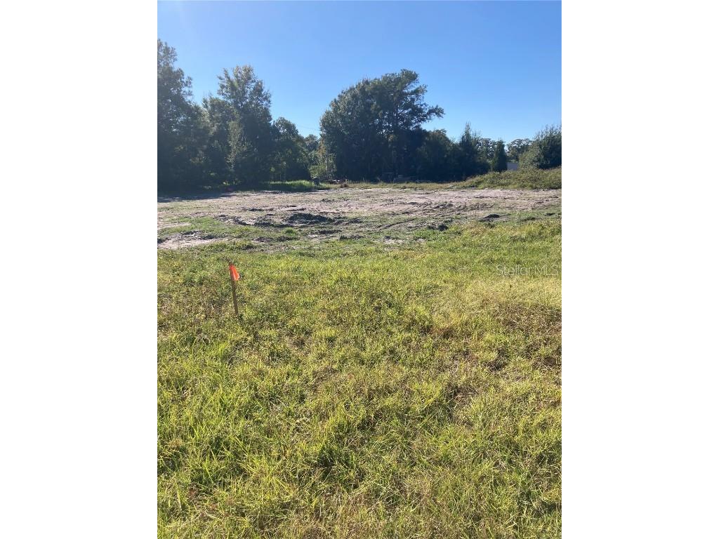 6277 Tower Road Land O Lakes FL 34638 TB8445657 image1