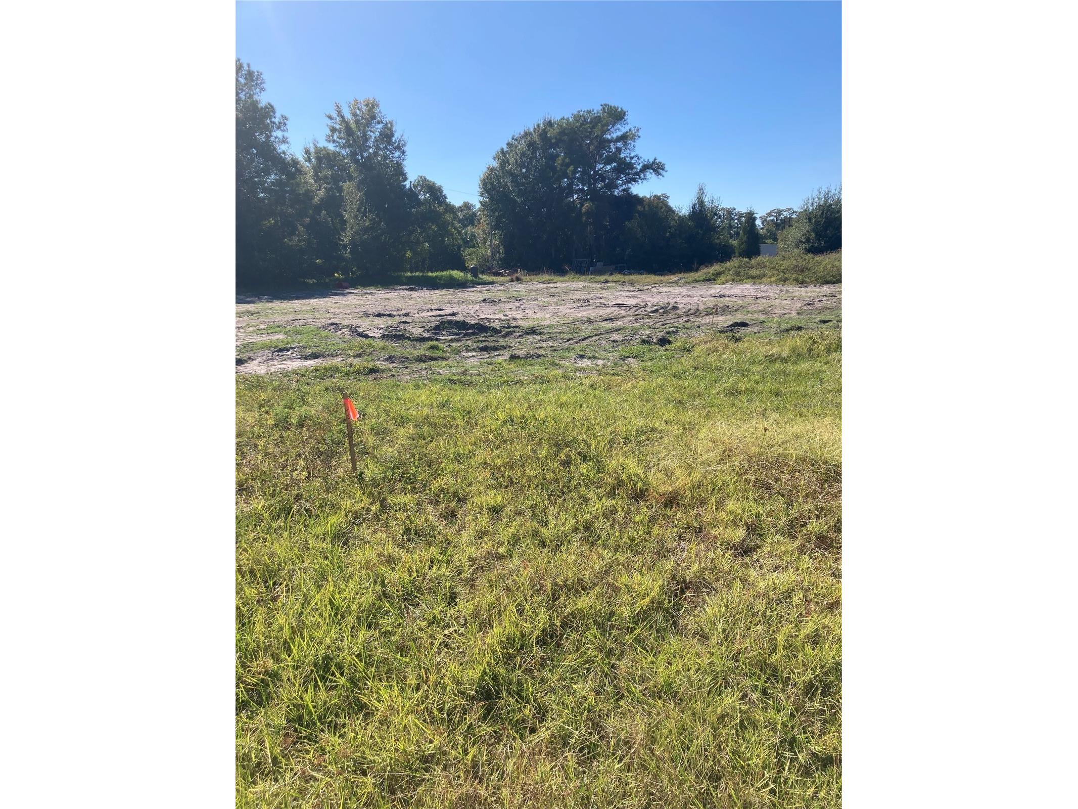 6277 Tower Road Land O Lakes FL 34638 TB8445657 image2