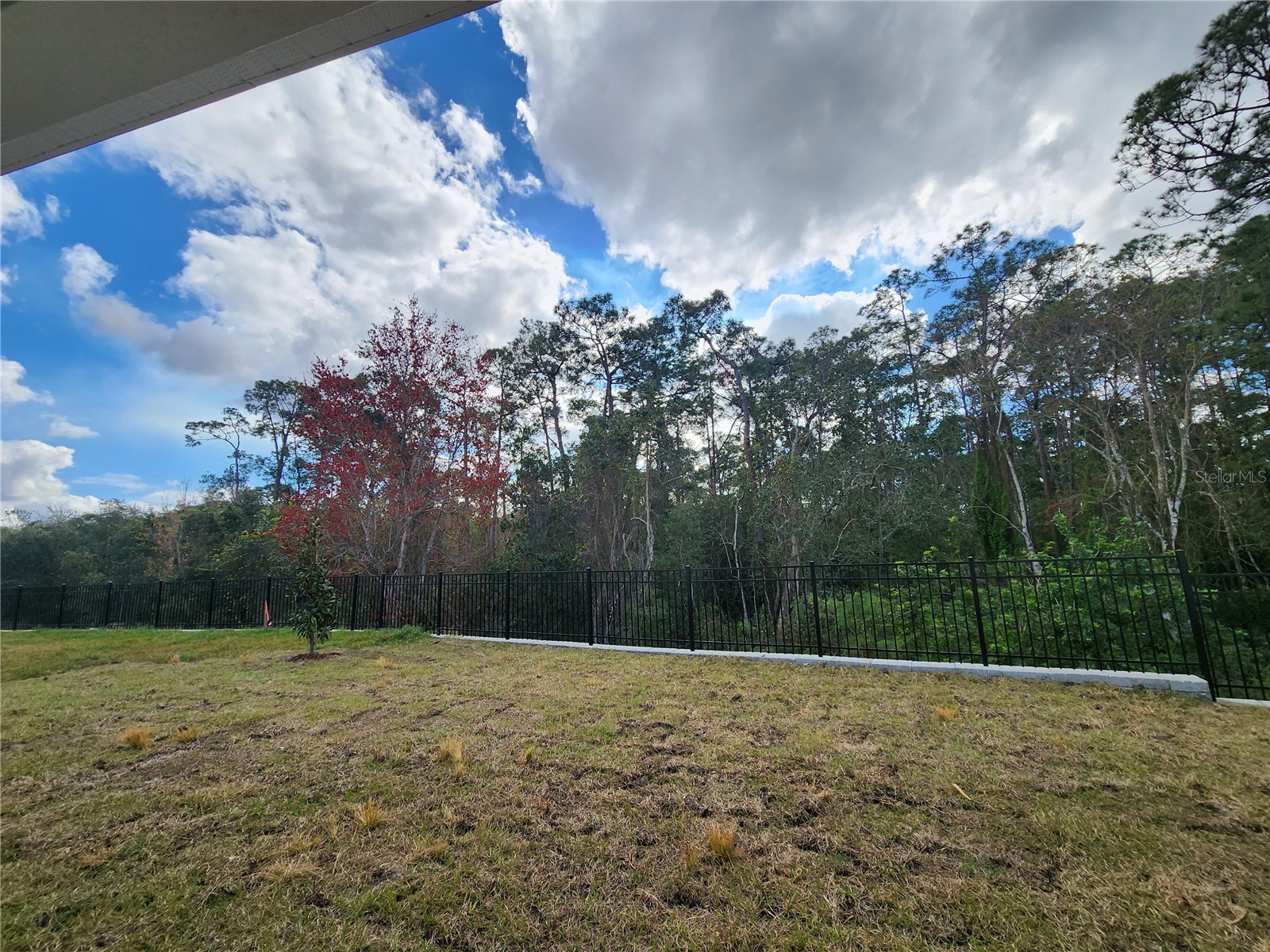 6278 Lakepine Street Saint Cloud FL 34771 O6404419 image24
