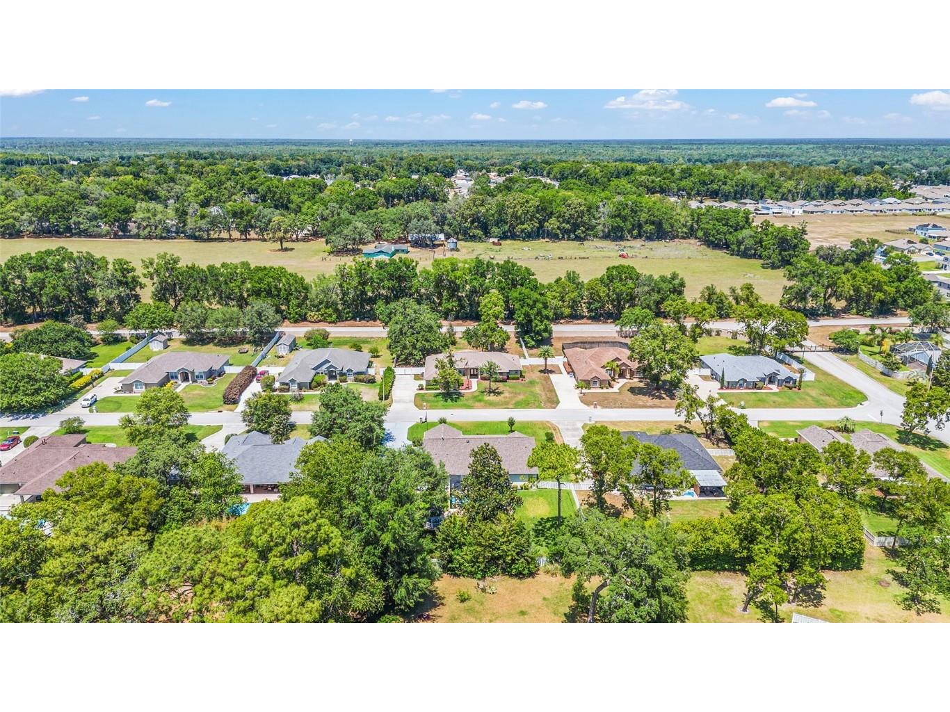 6279 SE 8th Lane Ocala FL 34472 OM695505 image69