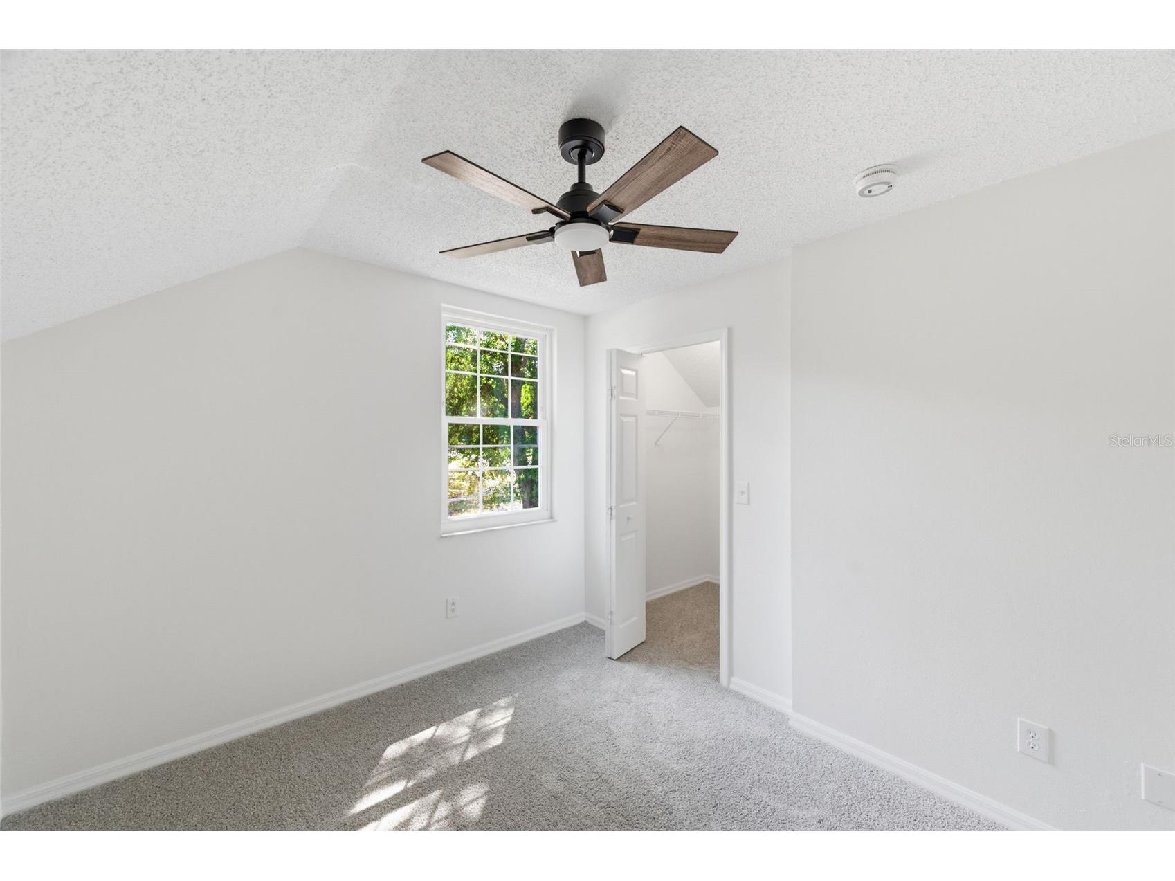 628 Cape Cod Circle Valrico FL 33594 TB8509115 image23