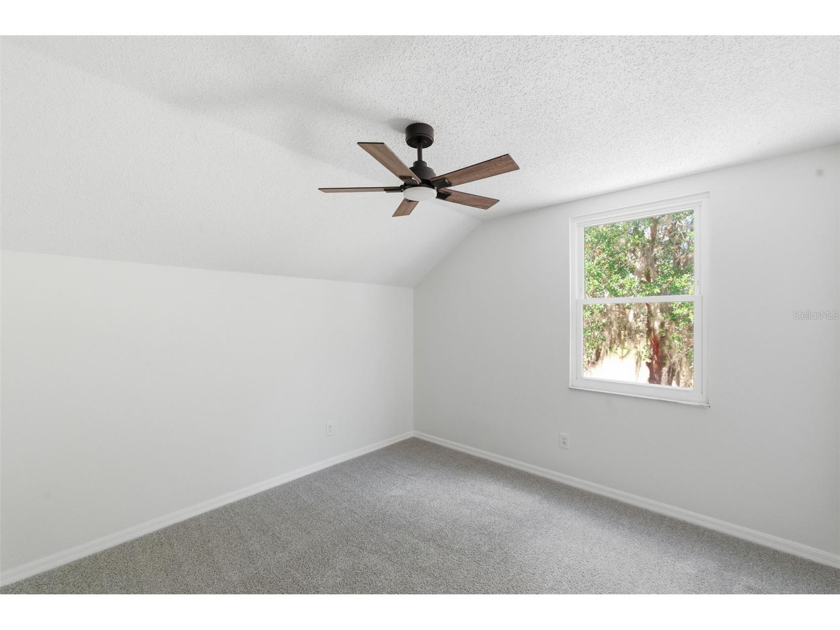 628 Cape Cod Circle Valrico FL 33594 TB8509115 image27