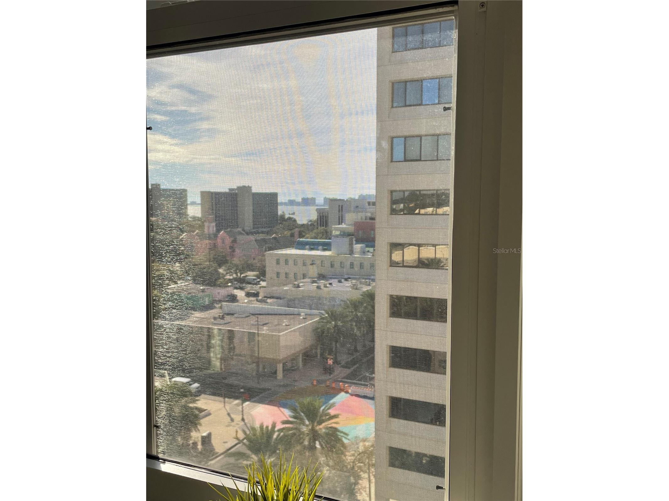 628 Cleveland Street #1002 Clearwater FL 33755 TB8480598 image15