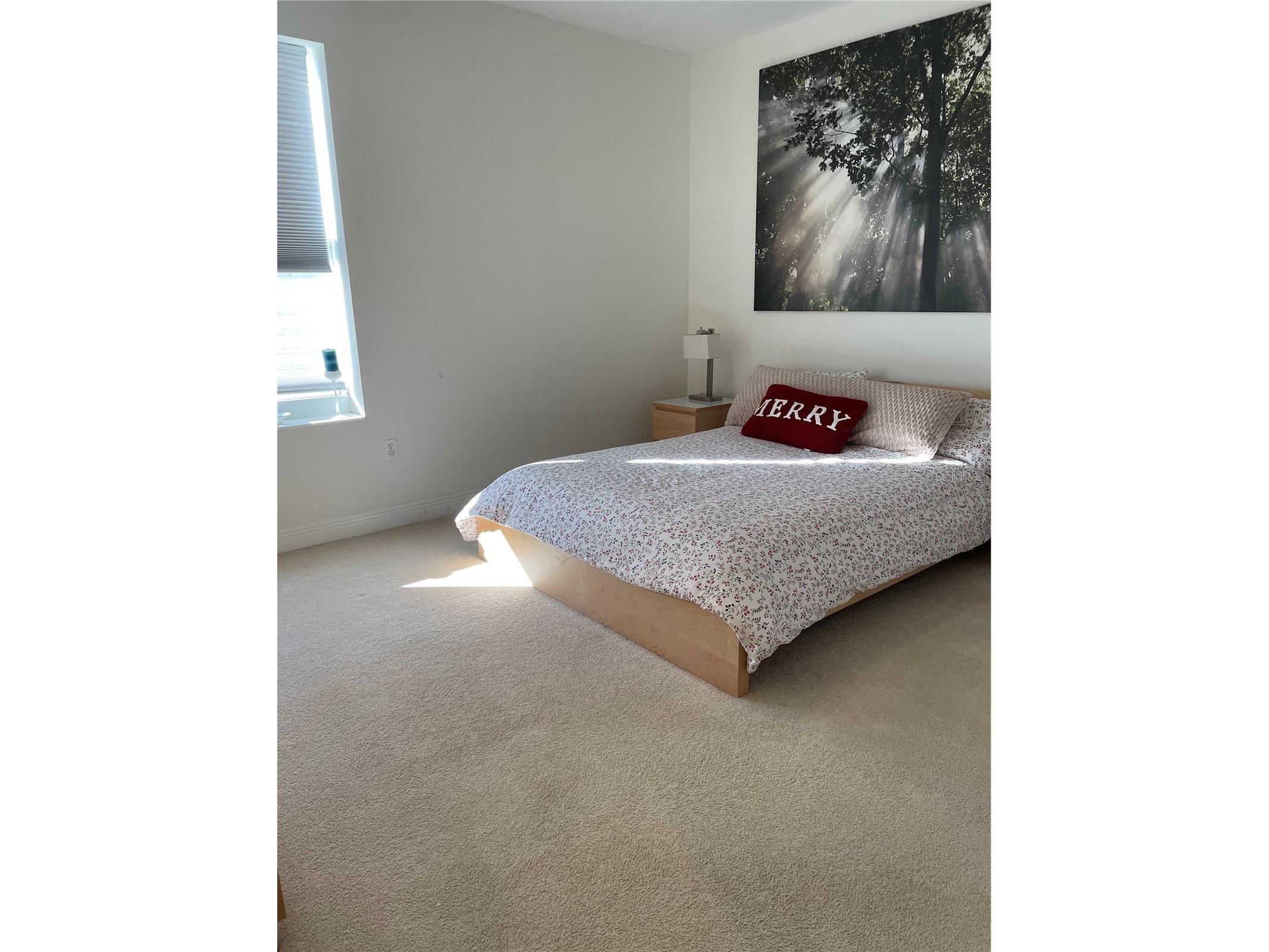 628 Cleveland Street #1002 Clearwater FL 33755 TB8480598 image5