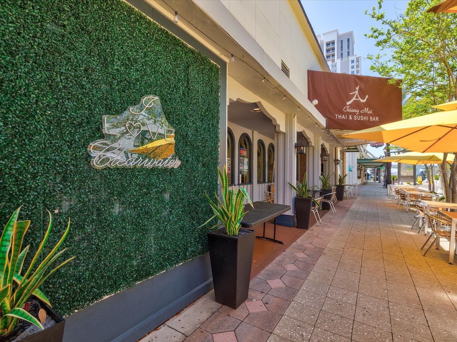 628 Cleveland Street #1011 Clearwater FL 33755 TB8505386 image87