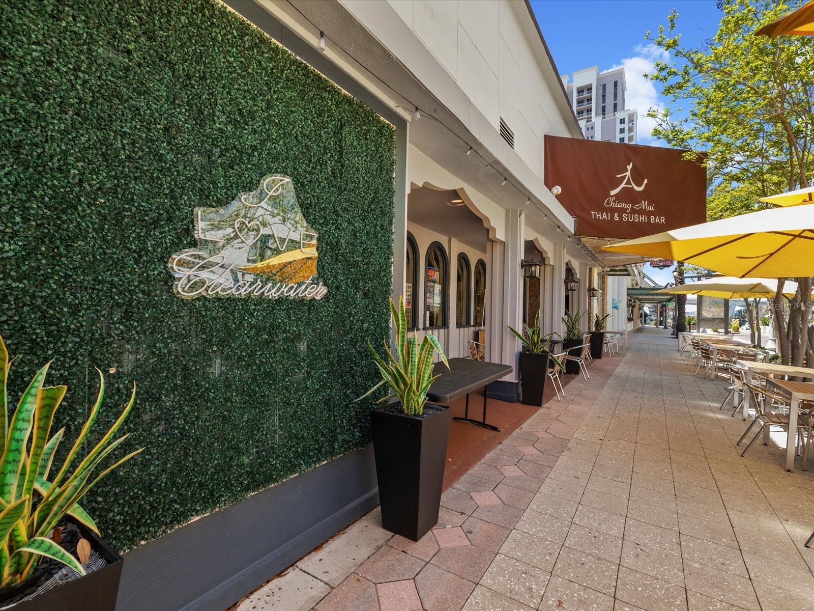 628 Cleveland Street #1104 Clearwater FL 33755 TB8491841 image60
