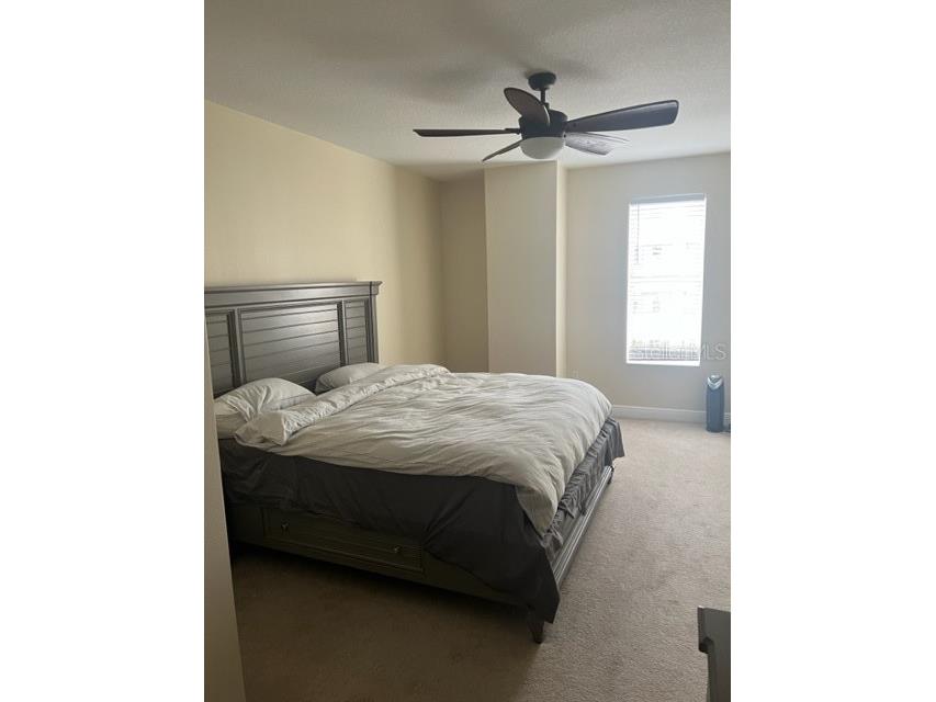 628 Cleveland Street #1205 Clearwater FL 33755 TB8418069 image10