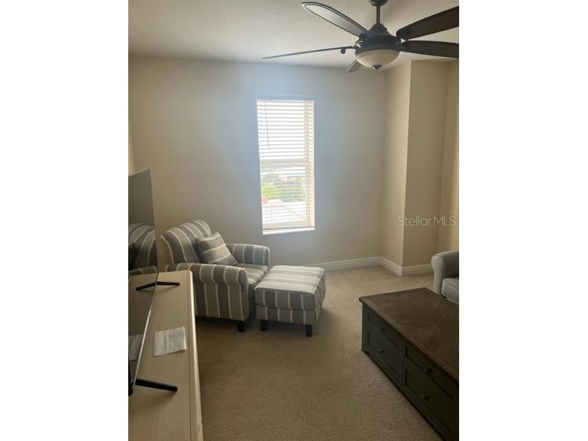 628 Cleveland Street #1205 Clearwater FL 33755 TB8418069 image12