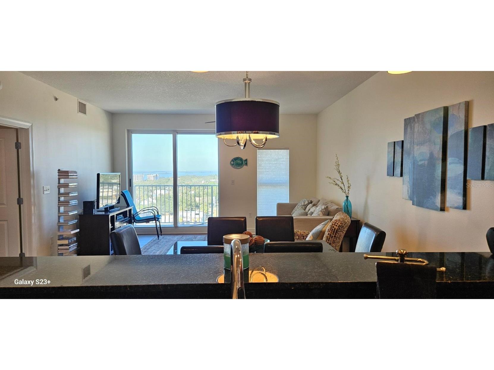 628 Cleveland Street #1207 Clearwater FL 33755 TB8450531 image10