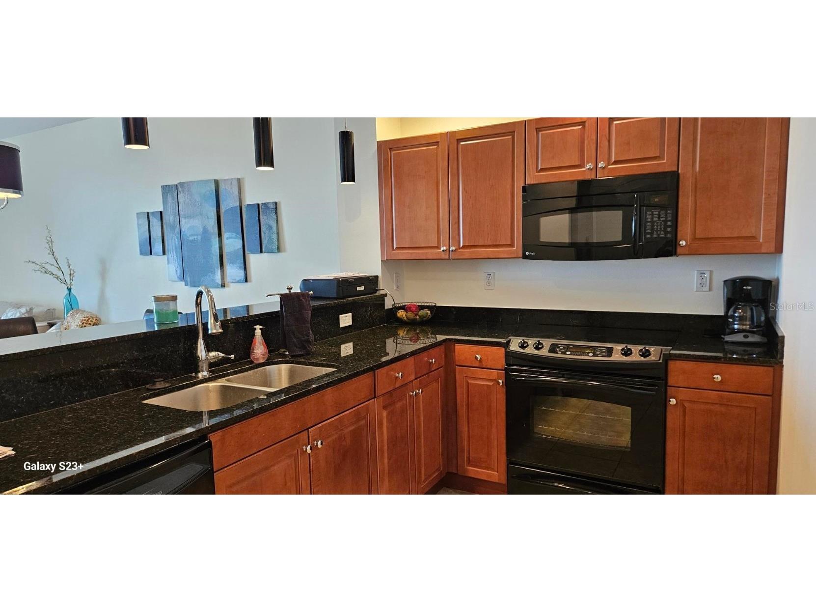 628 Cleveland Street #1207 Clearwater FL 33755 TB8450531 image8