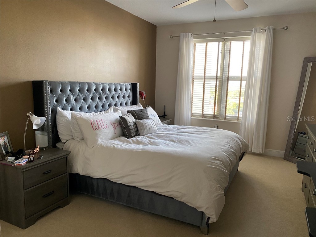 628 Cleveland Street #1211 Clearwater FL 33755 TB8450559 image14