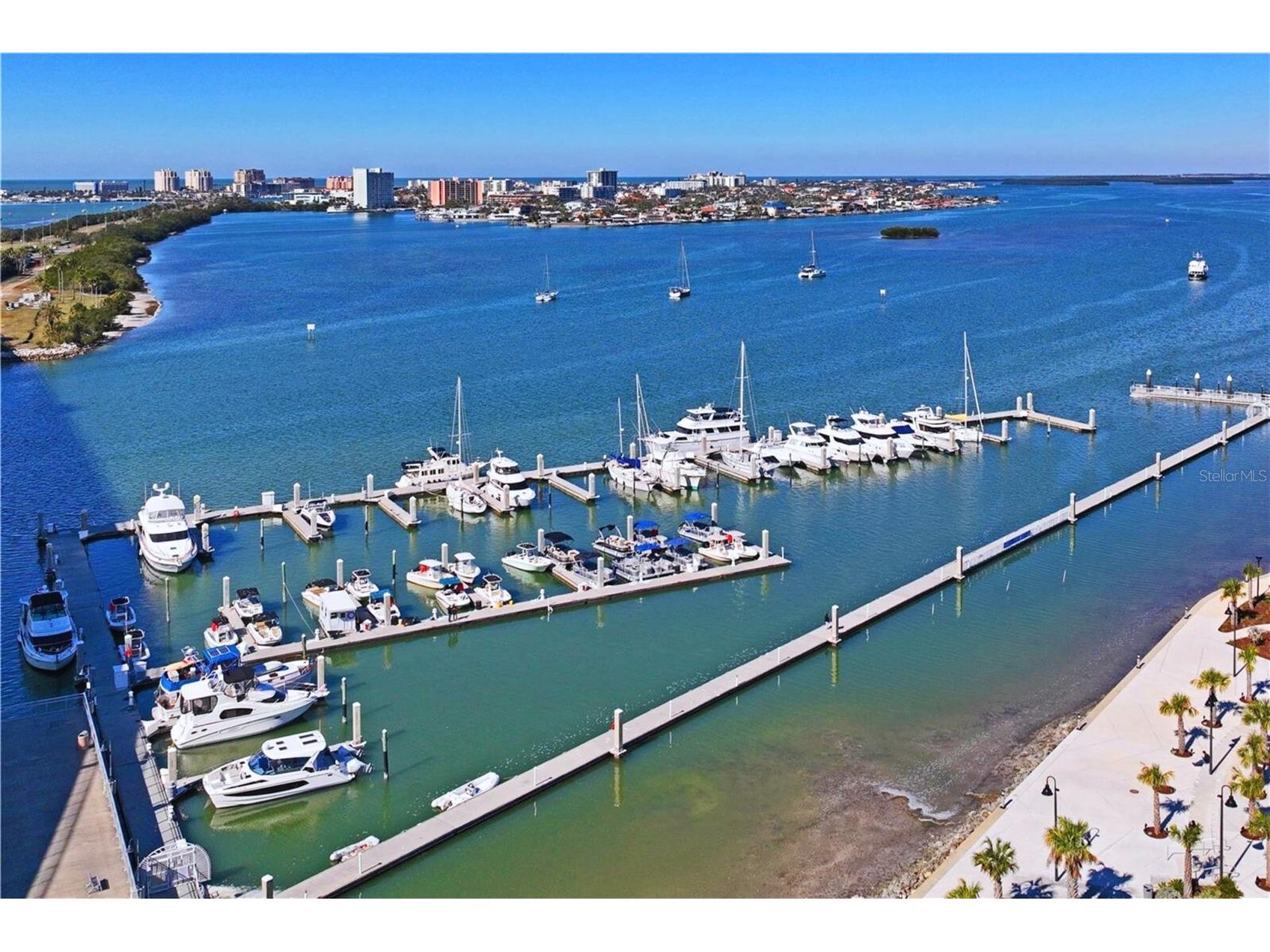 628 Cleveland Street #1310 Clearwater FL 33755 TB8503767 image49