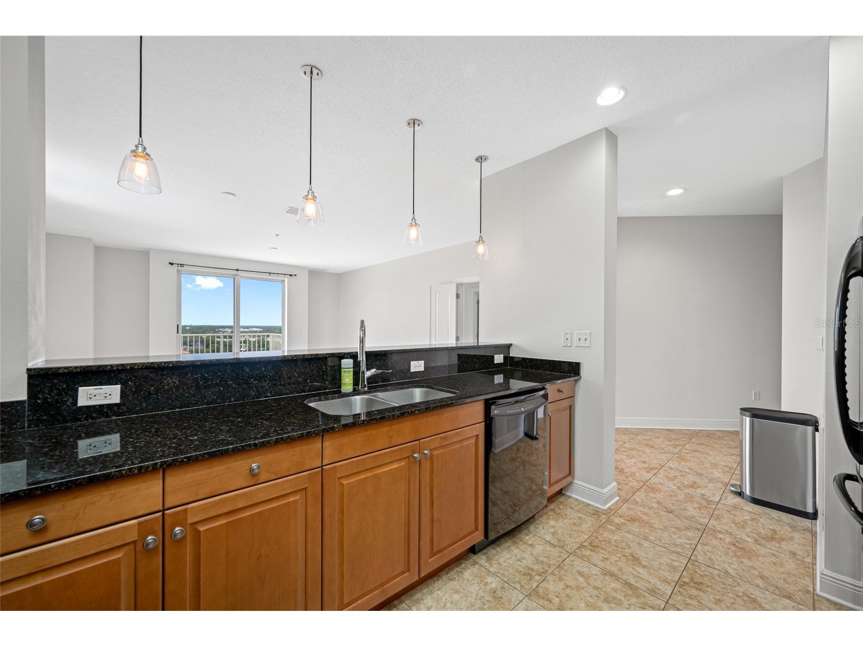 628 Cleveland Street #1313 Clearwater FL 33755 TB8498740 image21