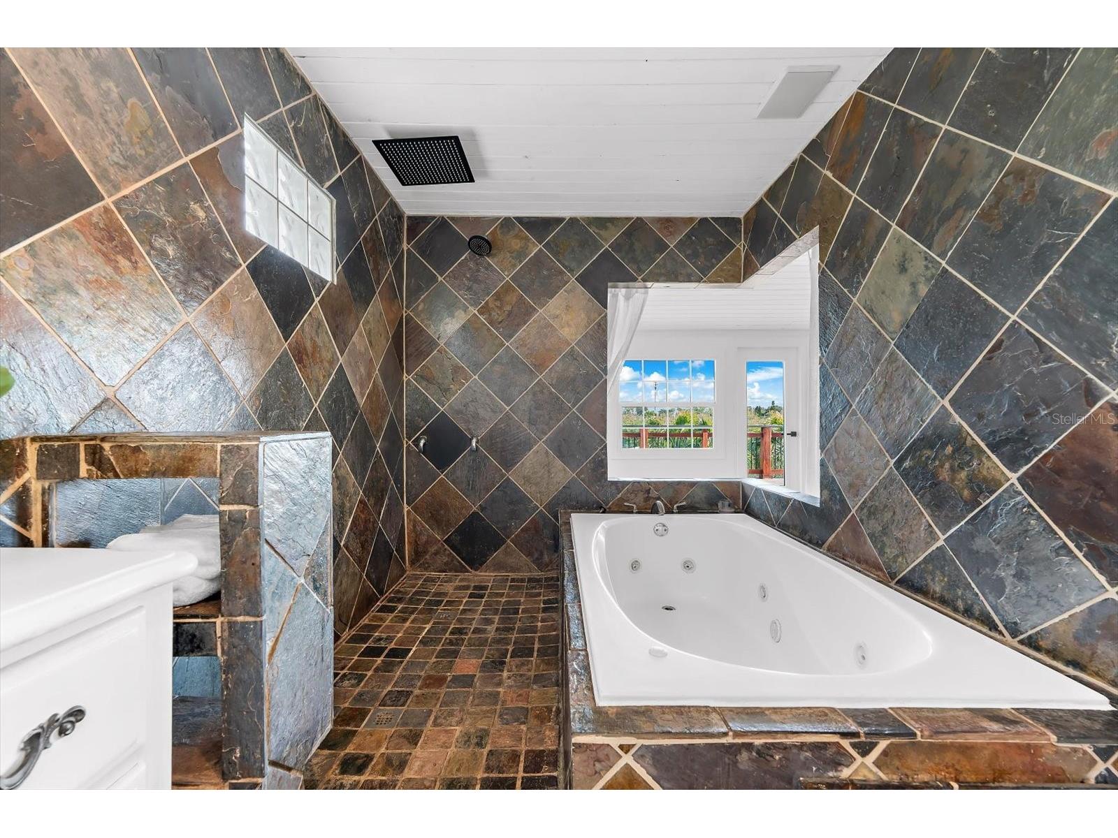 628 Mayo Street Palm Harbor FL 34683 - GREENS BAYOU TB8458017 image28