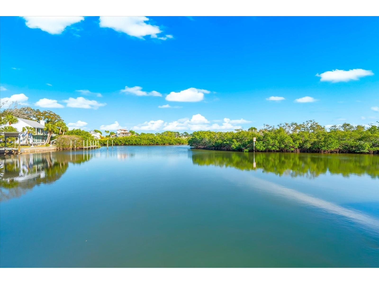 628 Mayo Street Palm Harbor FL 34683 - GREENS BAYOU TB8458017 image53