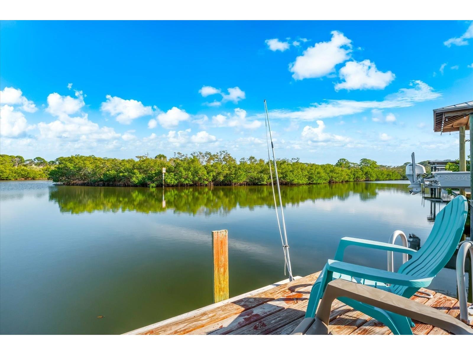 628 Mayo Street Palm Harbor FL 34683 - GREENS BAYOU TB8458017 image54