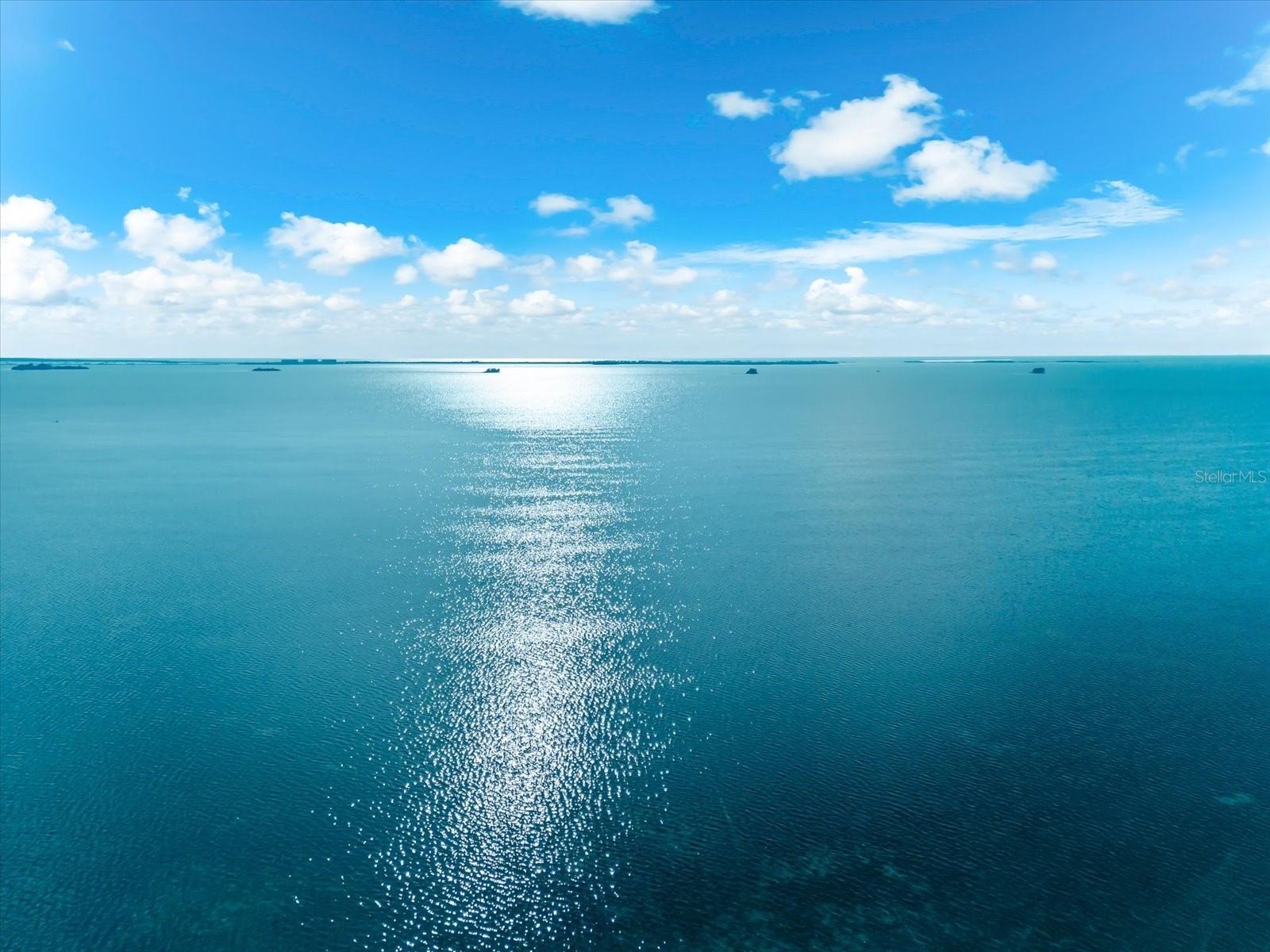 628 Mayo Street Palm Harbor FL 34683 - GREENS BAYOU TB8458017 image75