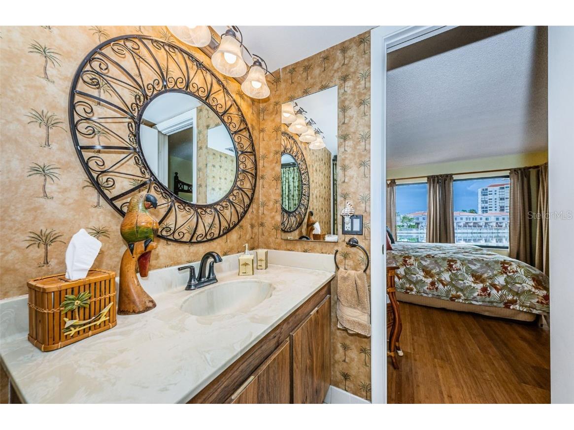 6281 Bahia Del Mar Boulevard #208 Saint Petersburg FL 33715 U8195431 image20