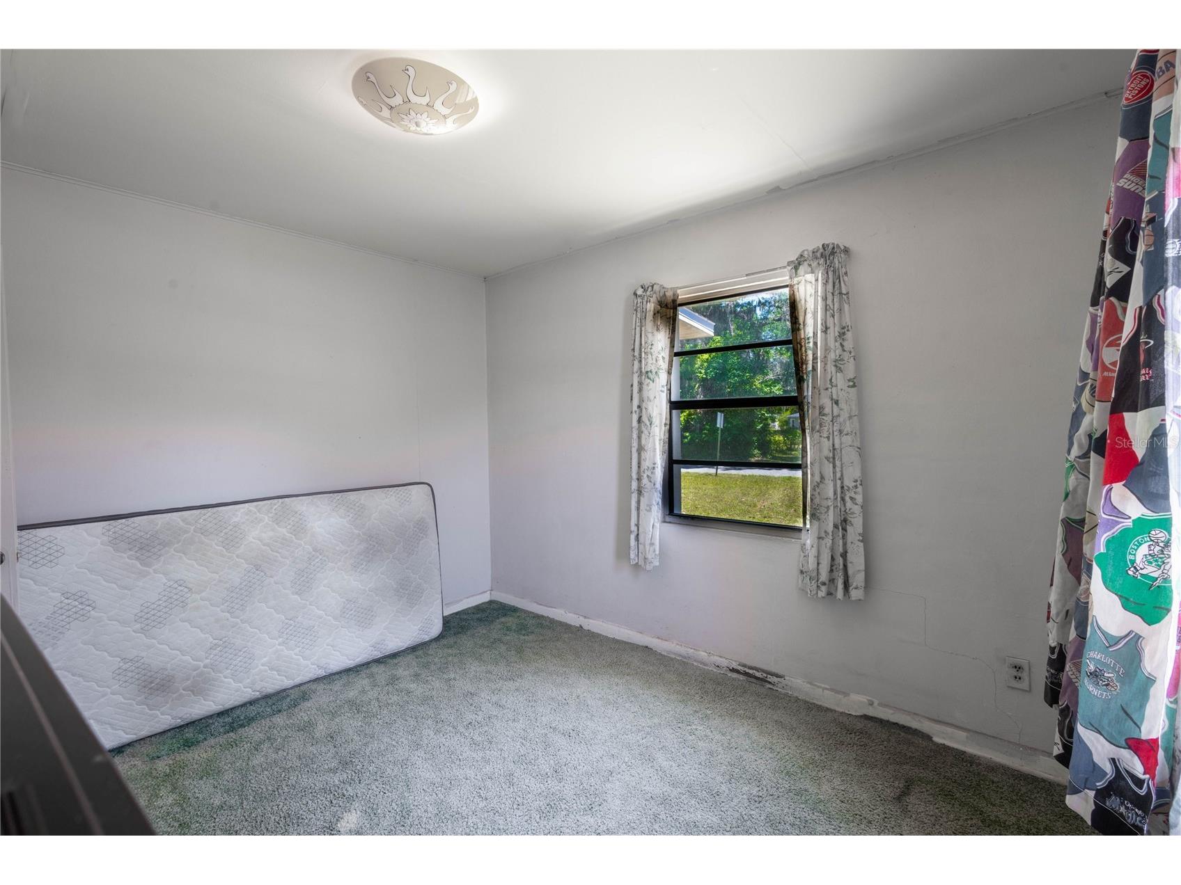6281 SE Hames Road Belleview FL 34420 OM725176 image7