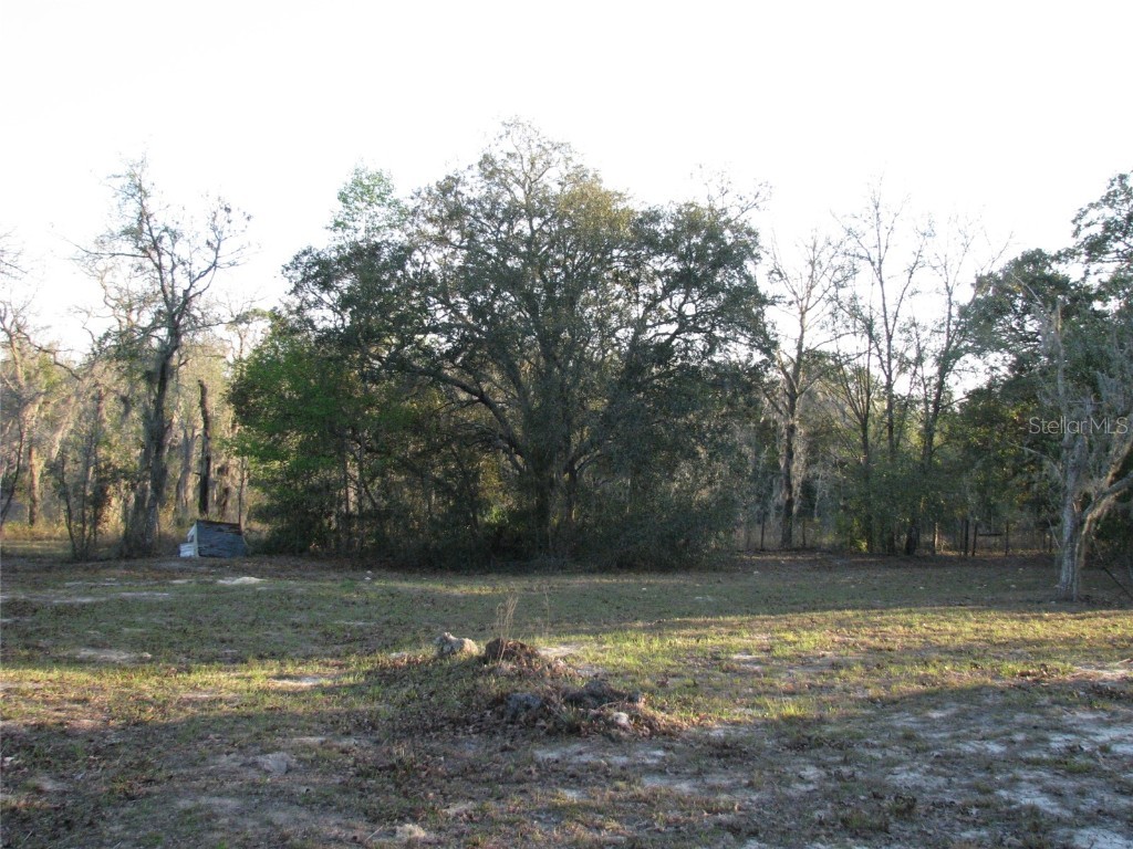 6281 SW 169th Court Ocala FL 34481 OM695909 image1