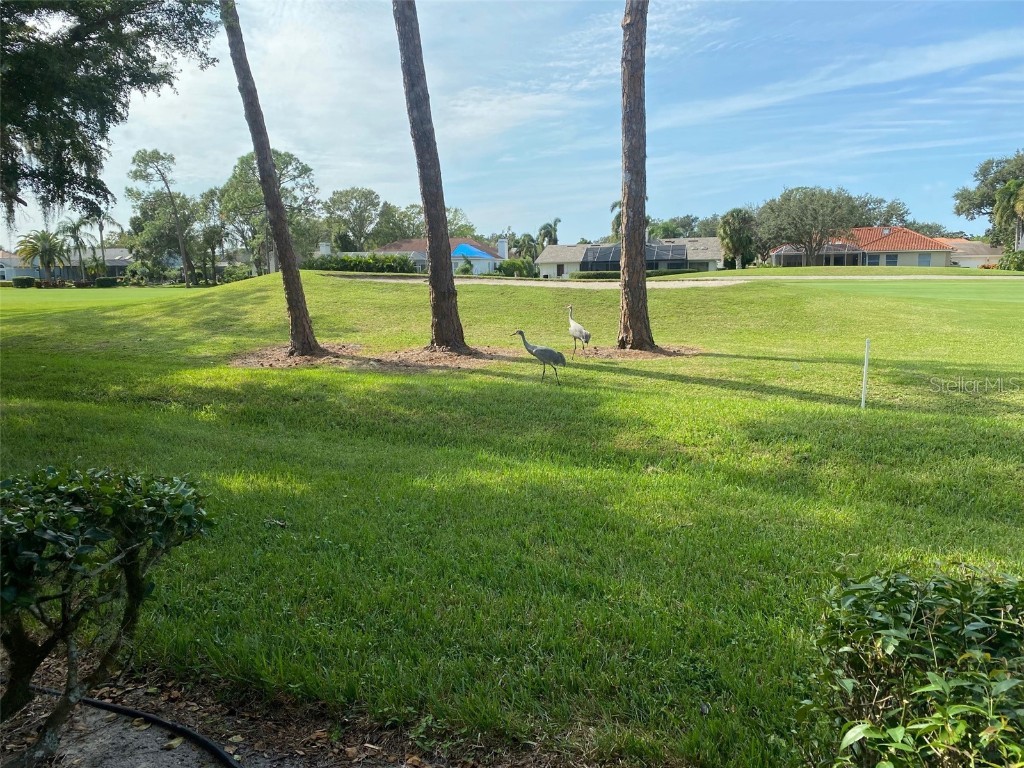 6281 Timberlake Drive #H6 Sarasota FL 34243 A4467709 image34