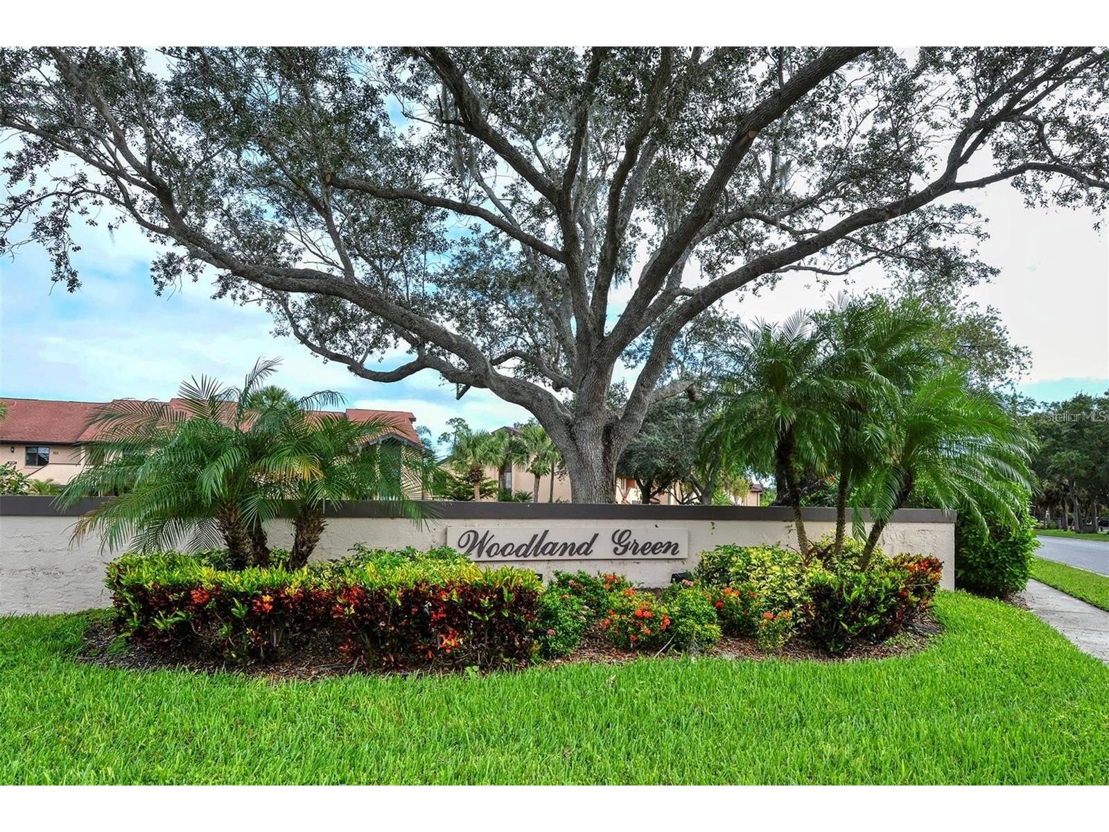 6281 Timberlake Drive #H6 Sarasota FL 34243 A4467709 image51