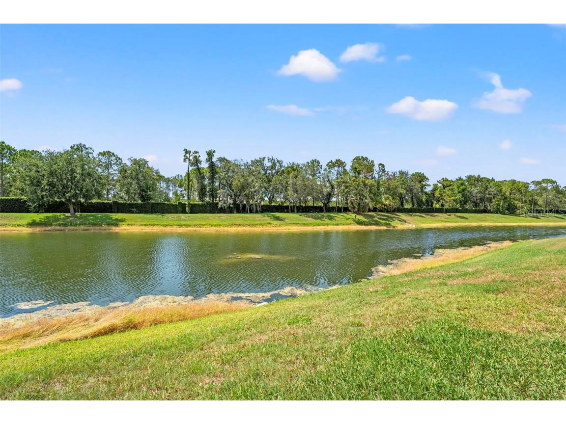 6282 Darien Way Spring Hill FL 34606 W7876446 image35