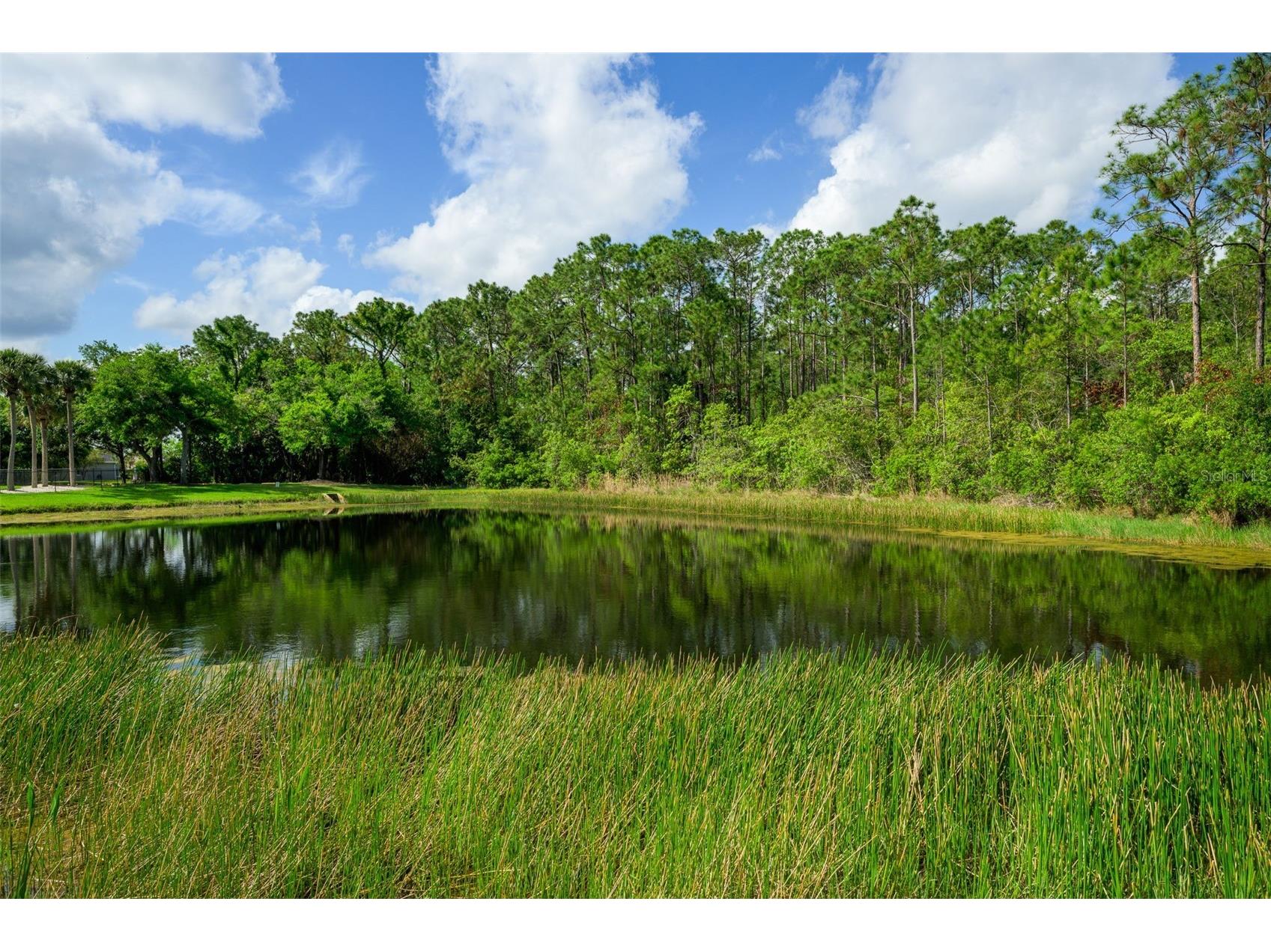 6282 Paradise Island Court Port Orange FL 32128 FC317795 image11
