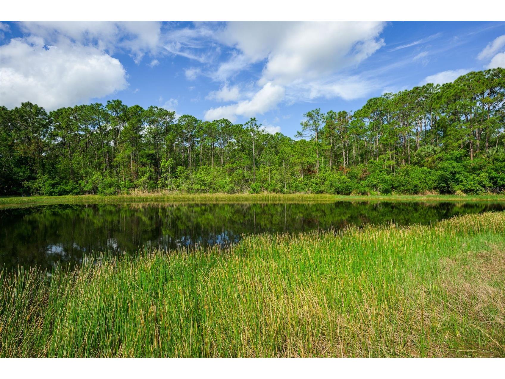 6282 Paradise Island Court Port Orange FL 32128 FC317795 image8