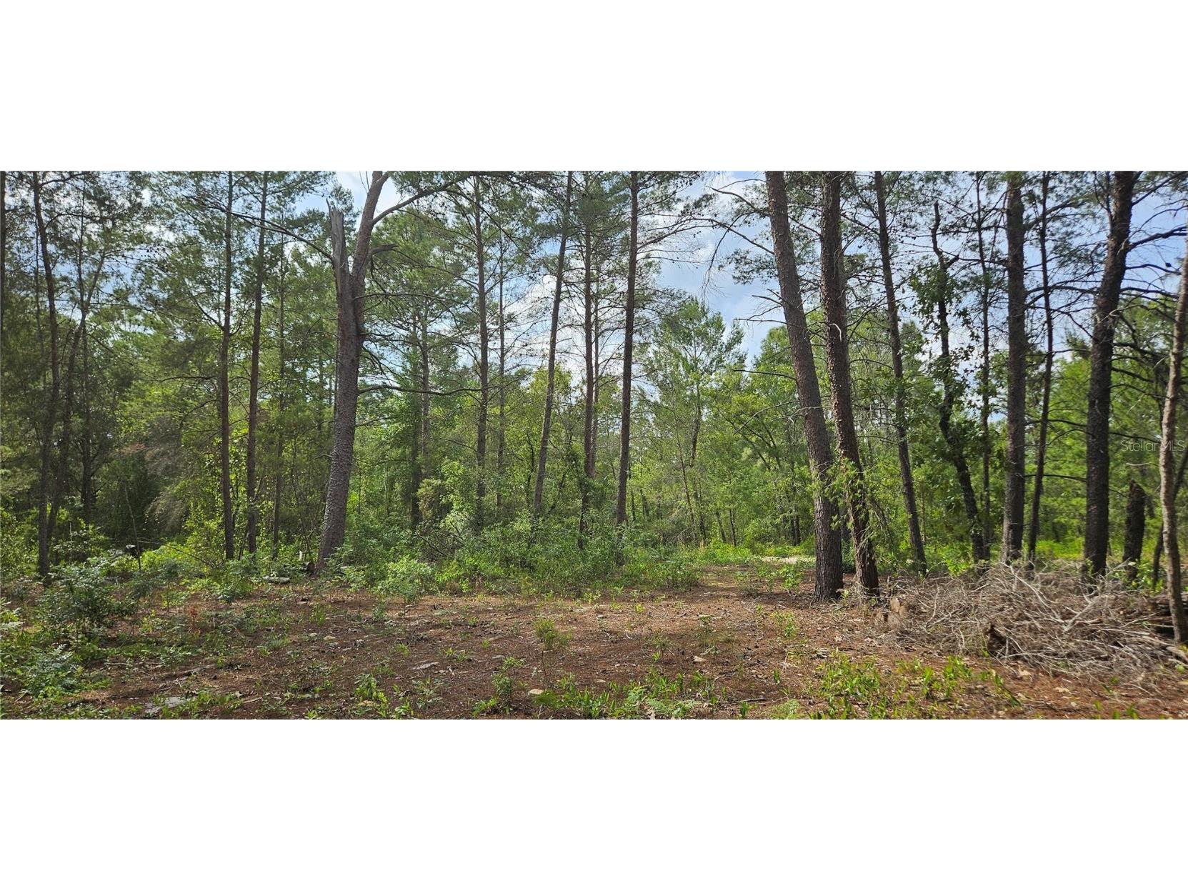 6283 Bowdoin Avenue Keystone Heights FL 32656 TB8381726 image1