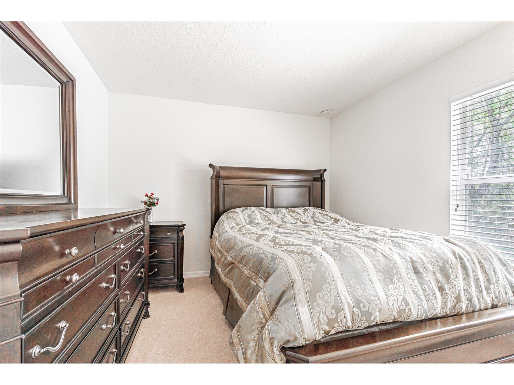 6283 Lorraine Lane Spring Hill FL 34608 TB8495939 image18