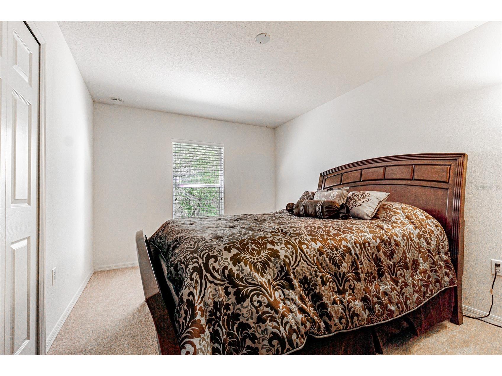 6283 Lorraine Lane Spring Hill FL 34608 TB8495939 image19