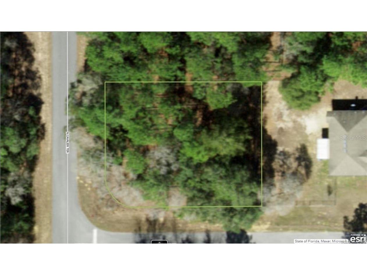 6285 N Cavalier Terrace Dunnellon FL 34433 J982280 image1