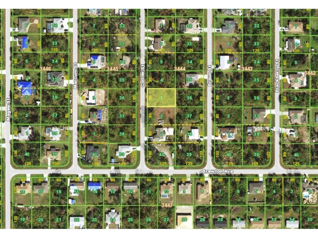 6286 Collier Street Englewood FL 34224 D6147919 image3