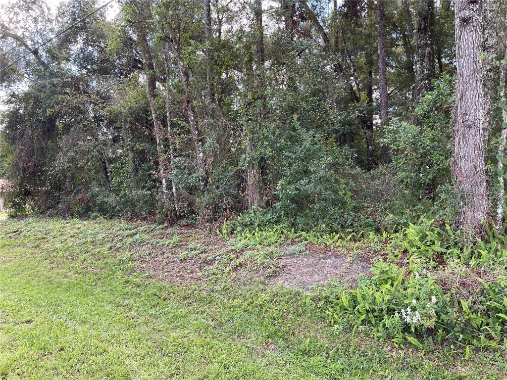 6286 E Vale Street Inverness FL 34452 T3401979 image1