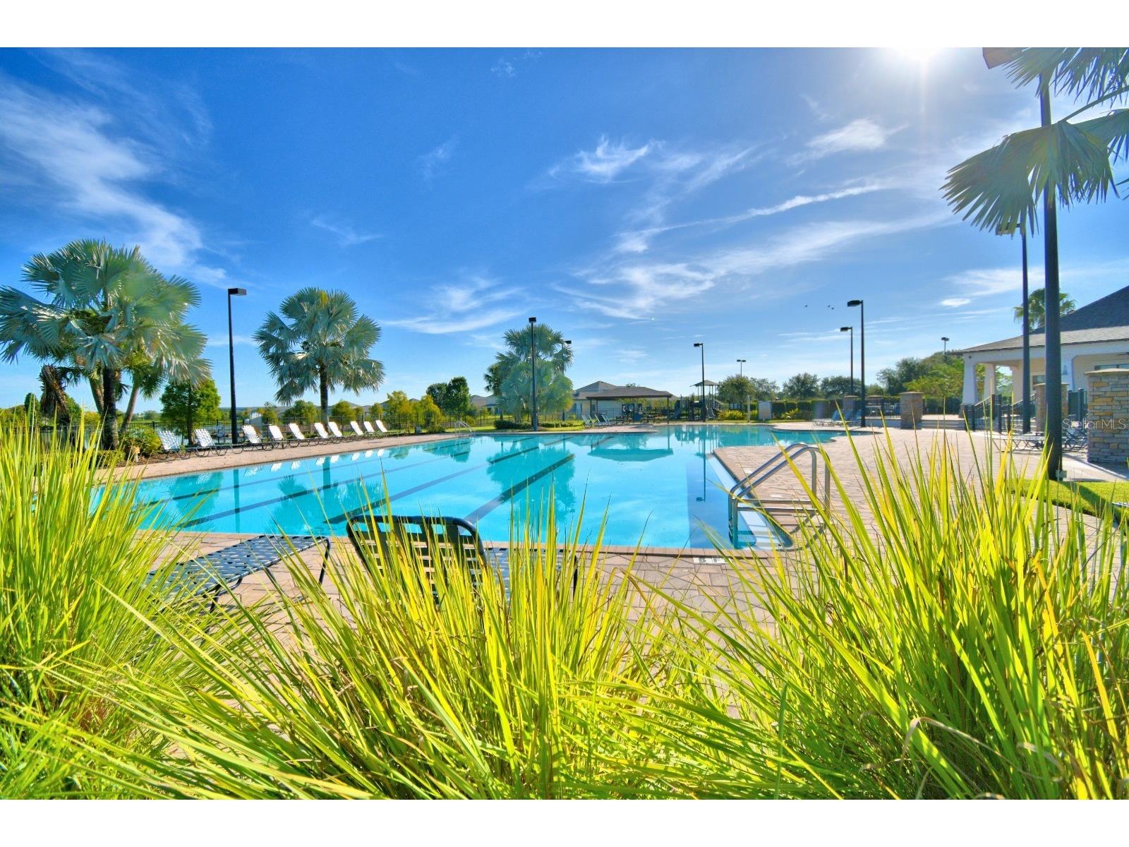 6286 Manitoba Drive Lakeland FL 33805 TB8481554 image6
