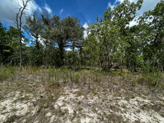 6286 N Bedstrow Boulevard Dunnellon FL 34434 OM688325 image1