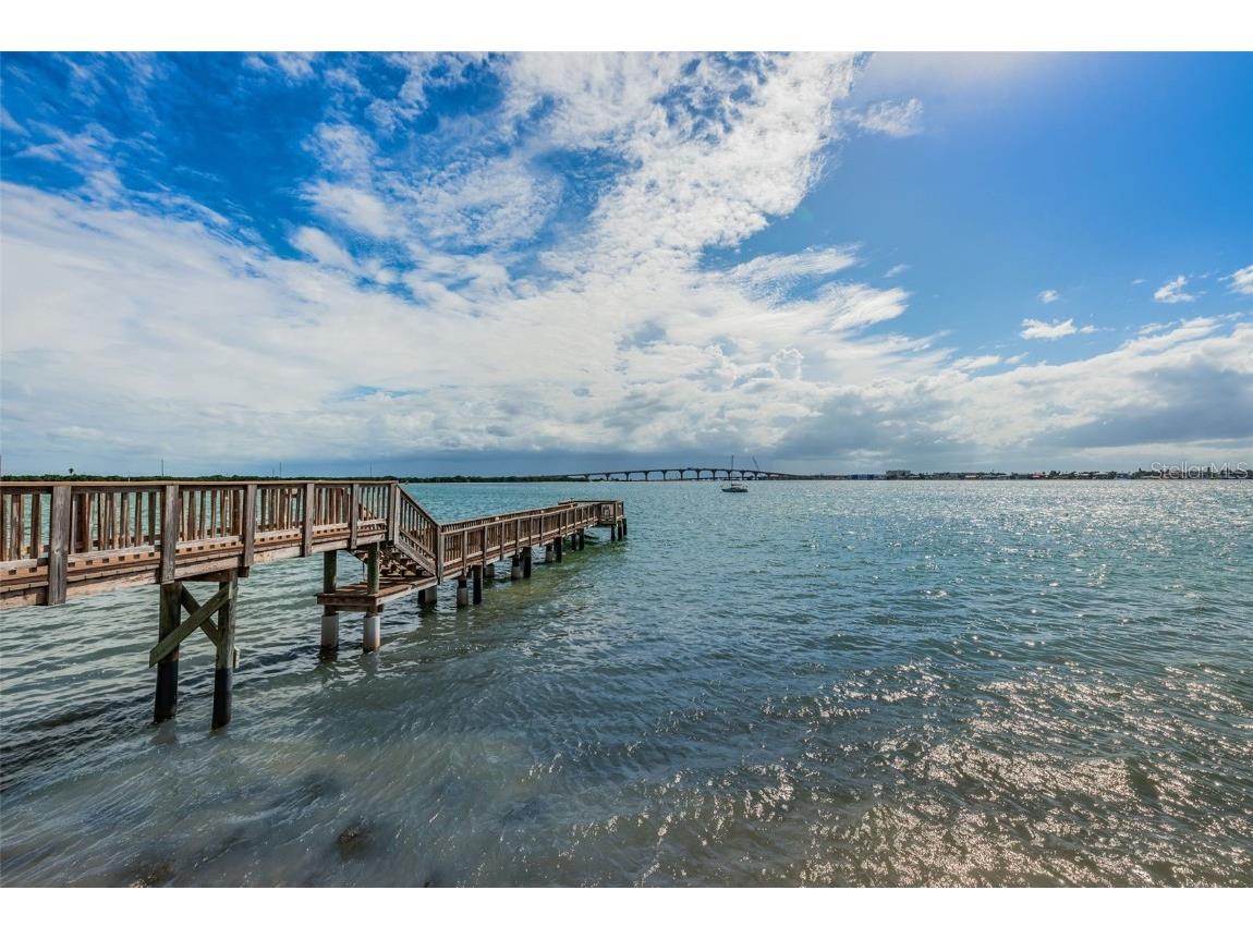 6287 Bahia Del Mar Circle #101 Saint Petersburg FL 33715 TB8446754 image28