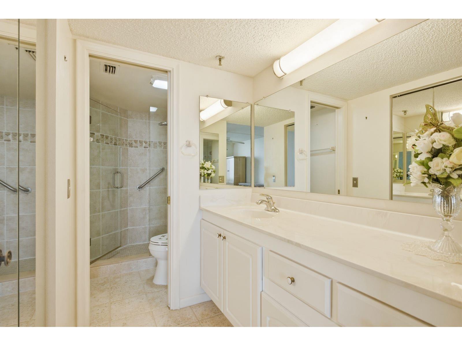 6287 Bahia Del Mar Circle #1202 Saint Petersburg FL 33715 TB8491764 image20