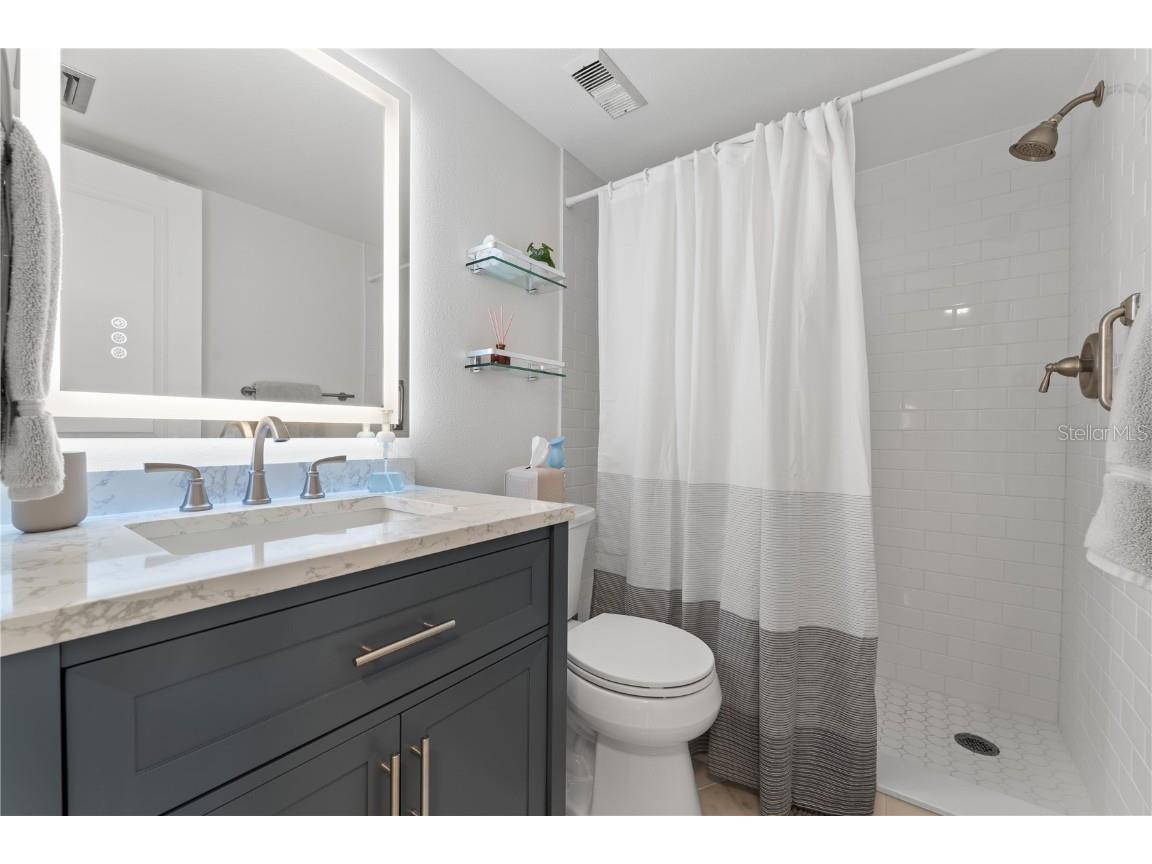 6287 Bahia Del Mar Circle #312 Saint Petersburg FL 33715 U8243779 image26